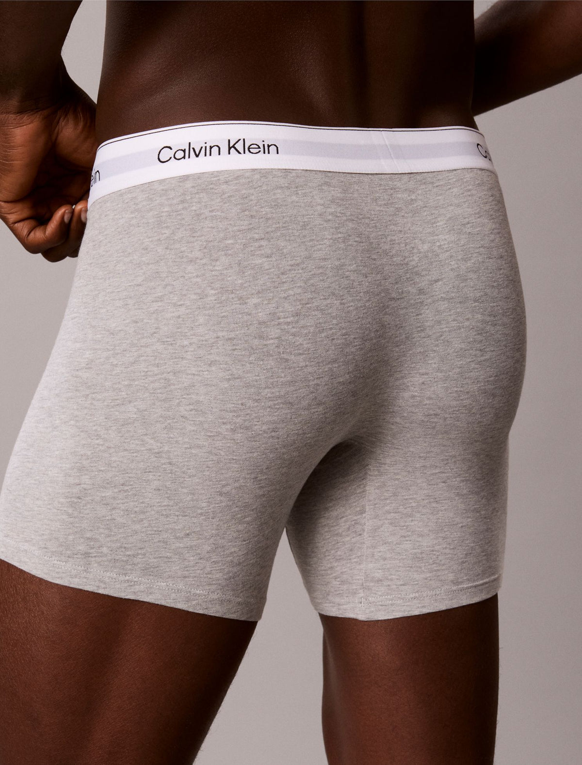 Icon Cotton Stretch Boxer Brief - Calvin Klein Underwear
