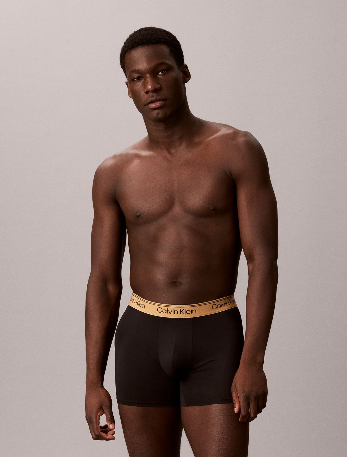 Microfiber Stretch 7-Pack Boxer Brief - Calvin Klein Underwear