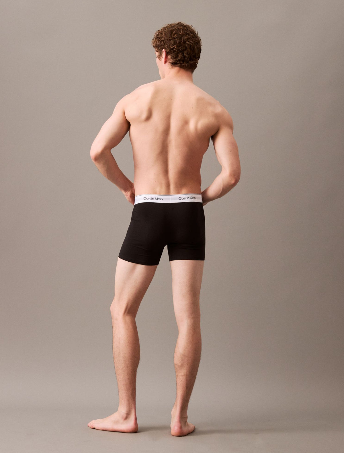 Icon Cotton Stretch 3-Pack Boxer Brief - Calvin Klein Underwear