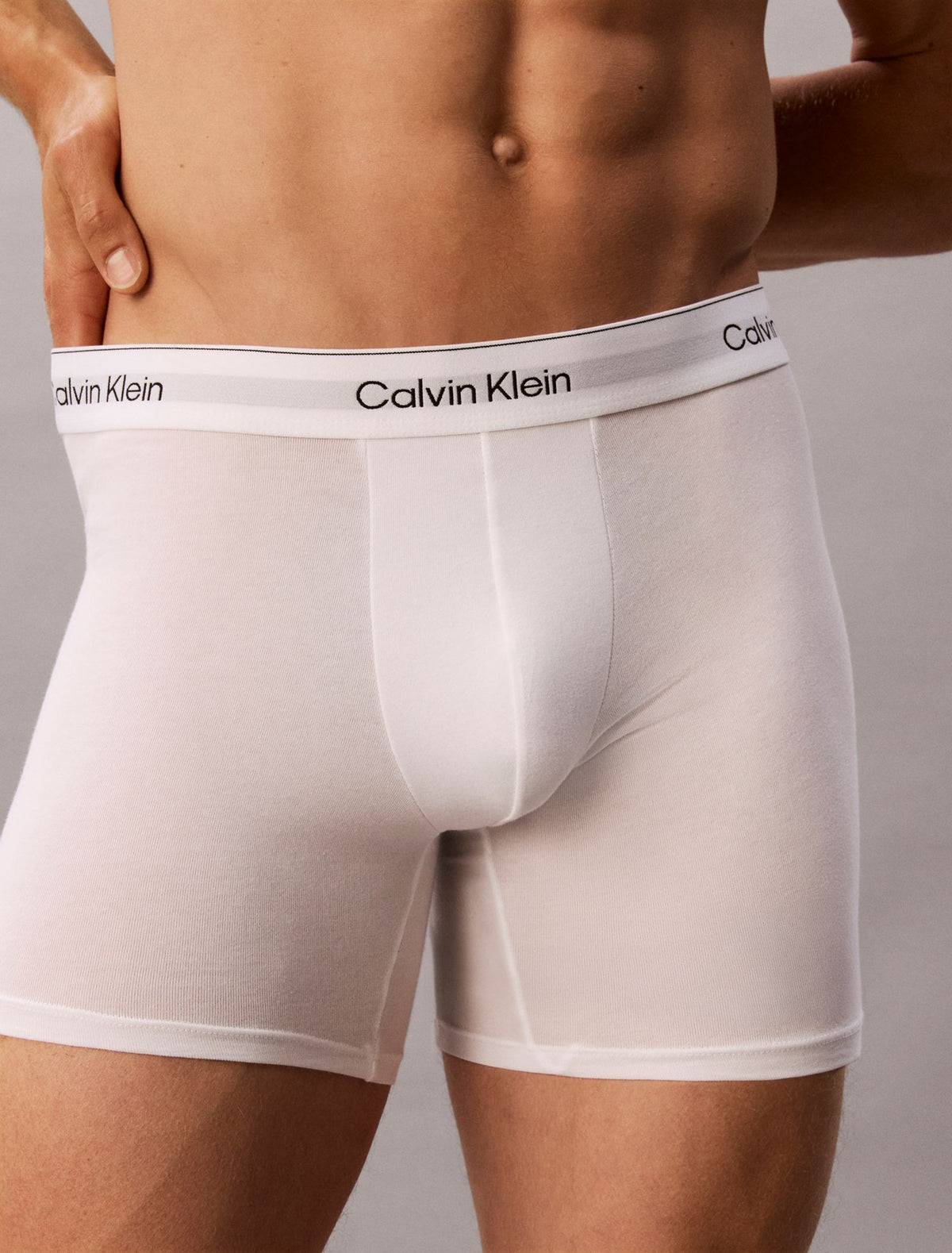 Icon Cotton Stretch 3-Pack Boxer Brief - Calvin Klein Underwear