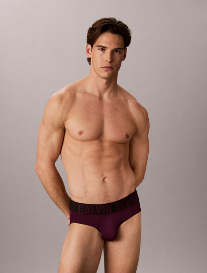 Intense Power Micro 3-Pack Hip Brief - Calvin Klein Underwear