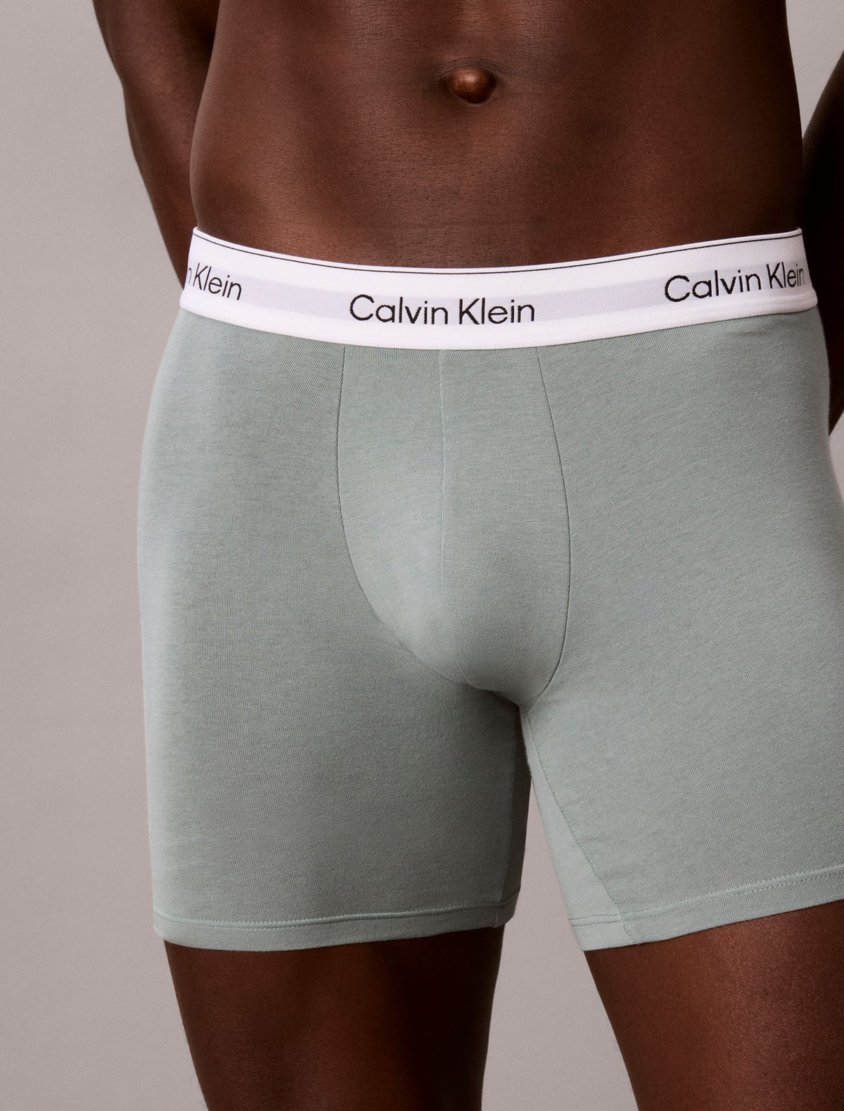 Icon Cotton Stretch Boxer Brief - Calvin Klein Underwear