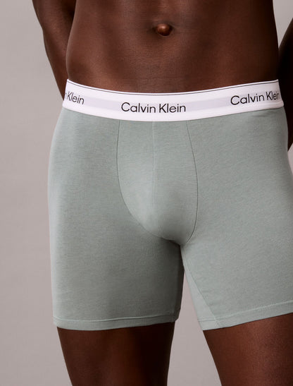 Icon Cotton Stretch Boxer Brief - Calvin Klein Underwear