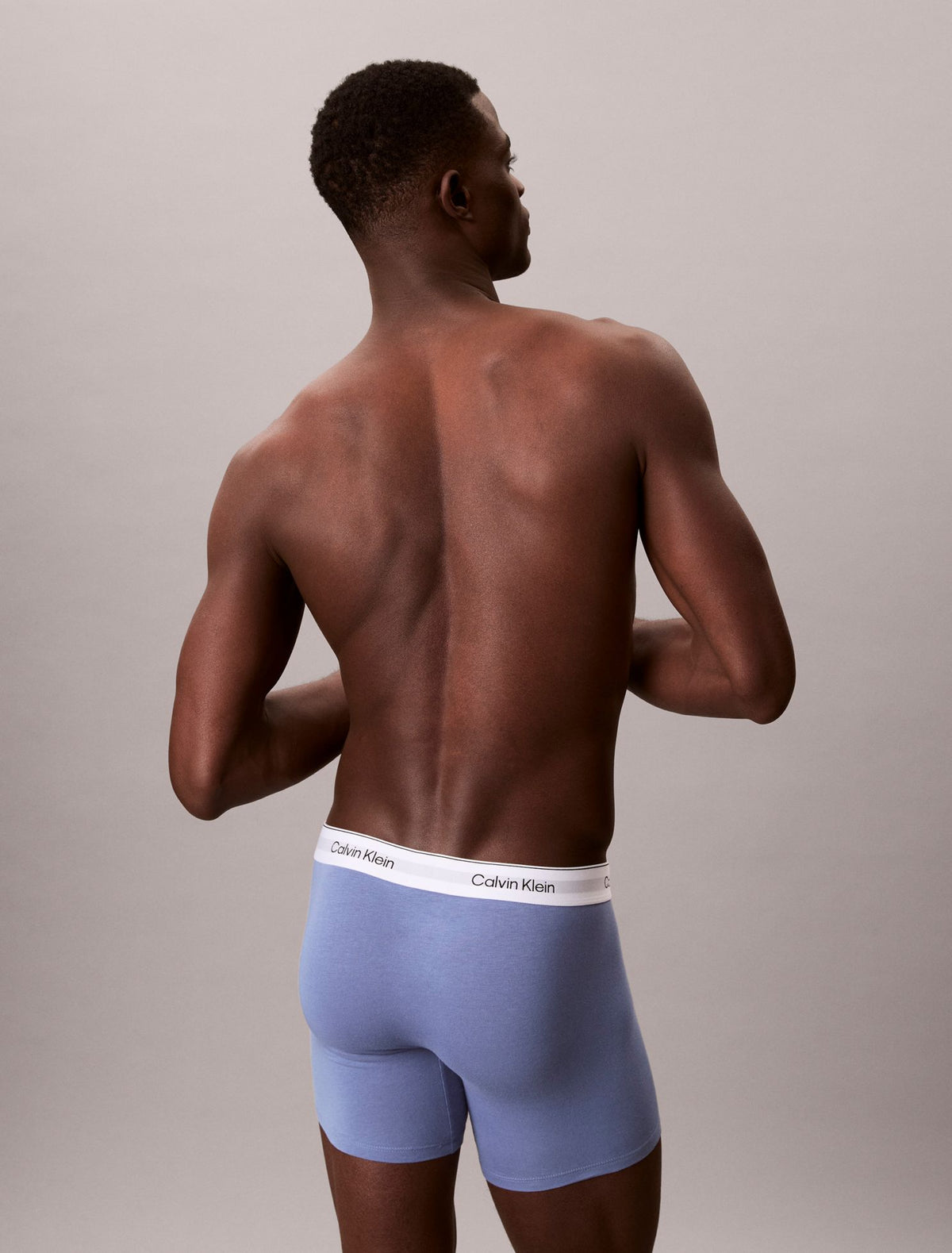 Icon Cotton Stretch 3-Pack Boxer Brief - Calvin Klein Underwear