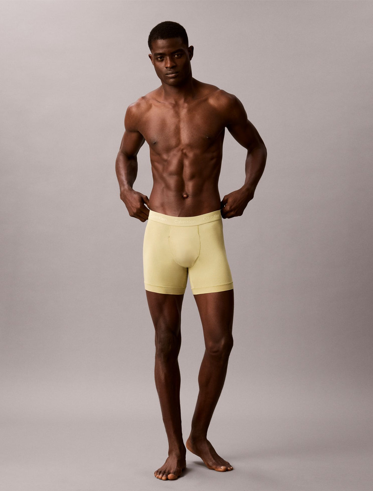 Naturals Flex Boxer Brief - Calvin Klein Underwear