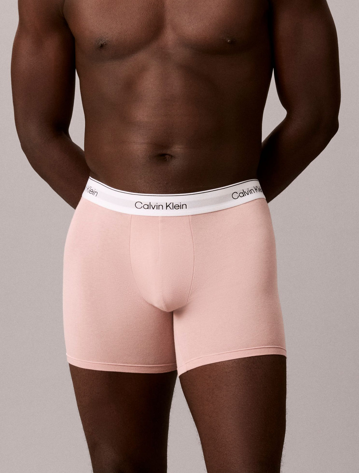 Icon Cotton Stretch Boxer Brief - Calvin Klein Underwear
