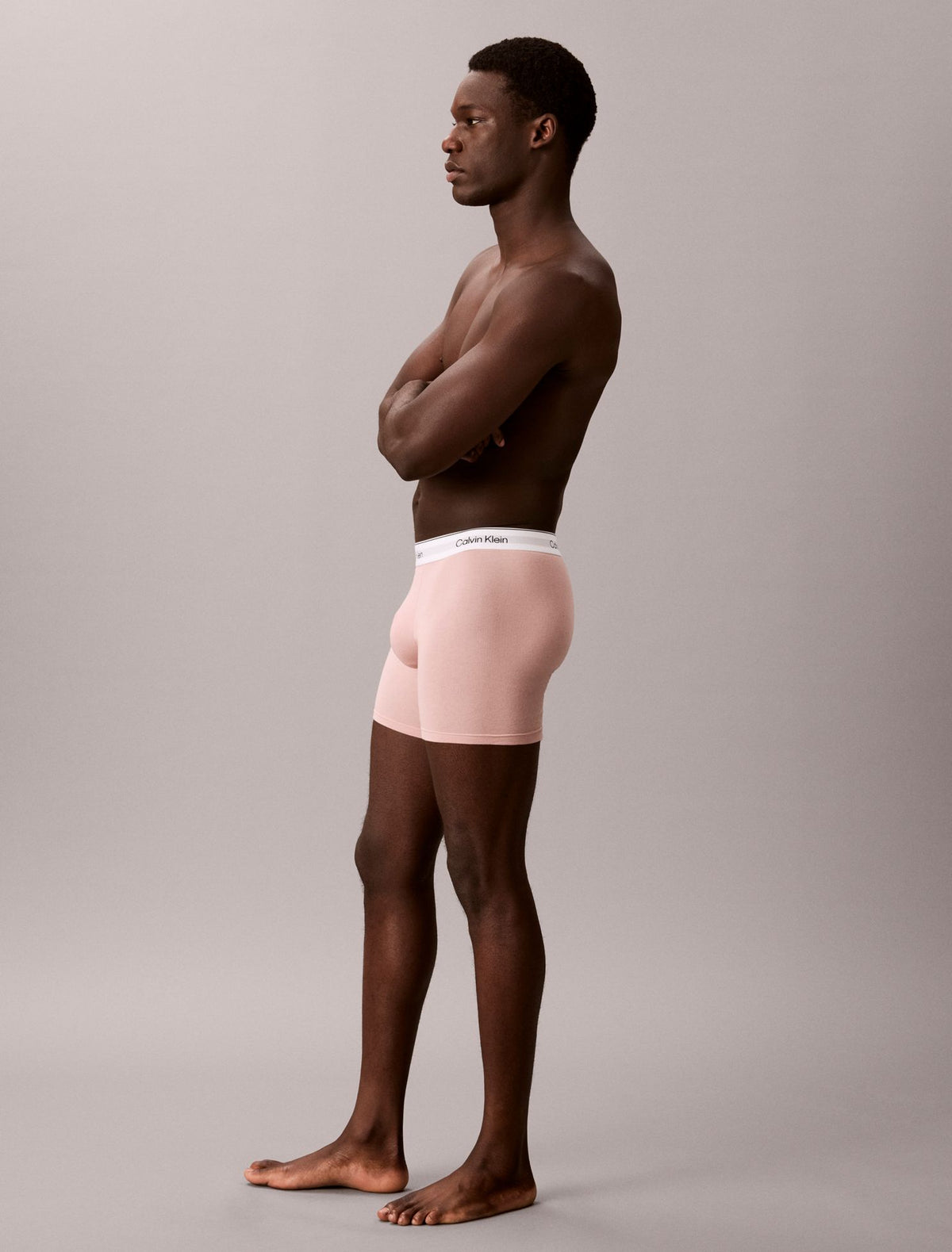 Icon Cotton Stretch Boxer Brief - Calvin Klein Underwear