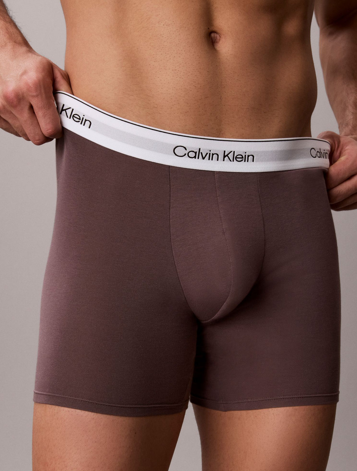 Icon Cotton Stretch Boxer Brief - Calvin Klein Underwear