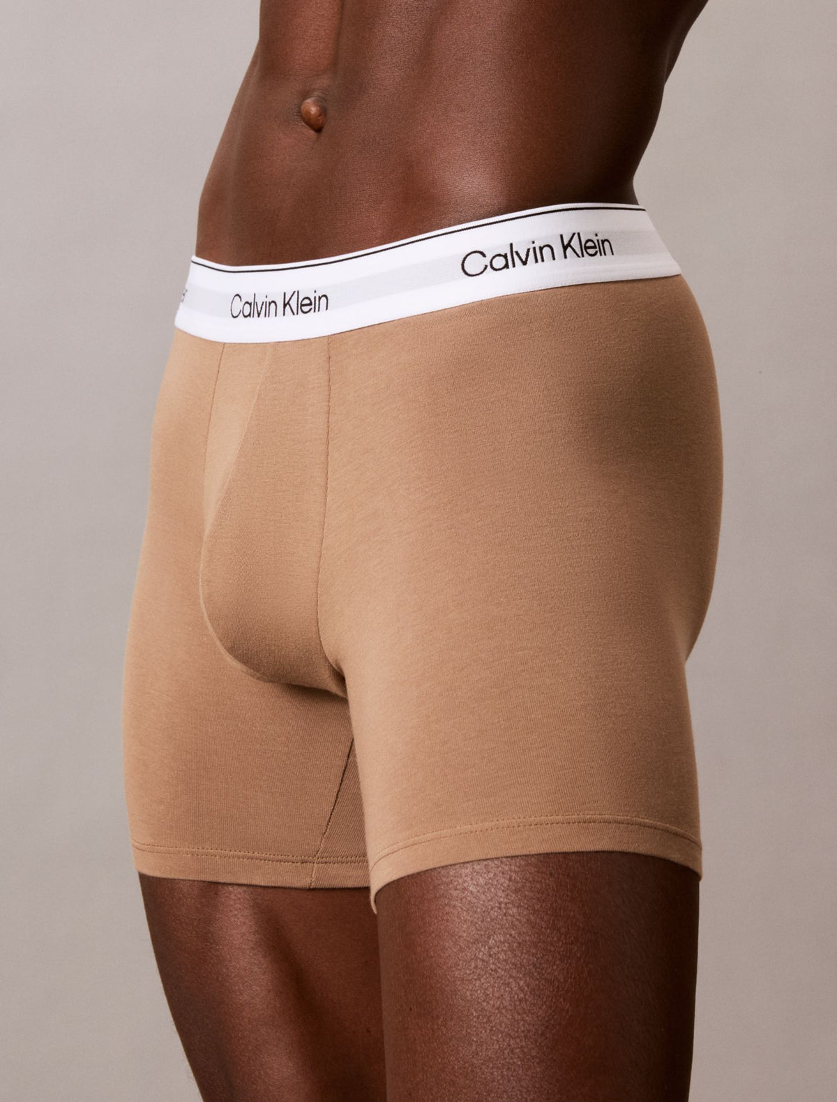 Icon Cotton Stretch Boxer Brief - Calvin Klein Underwear