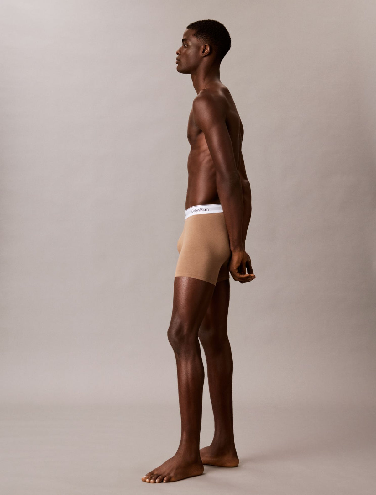 Icon Cotton Stretch Boxer Brief - Calvin Klein Underwear