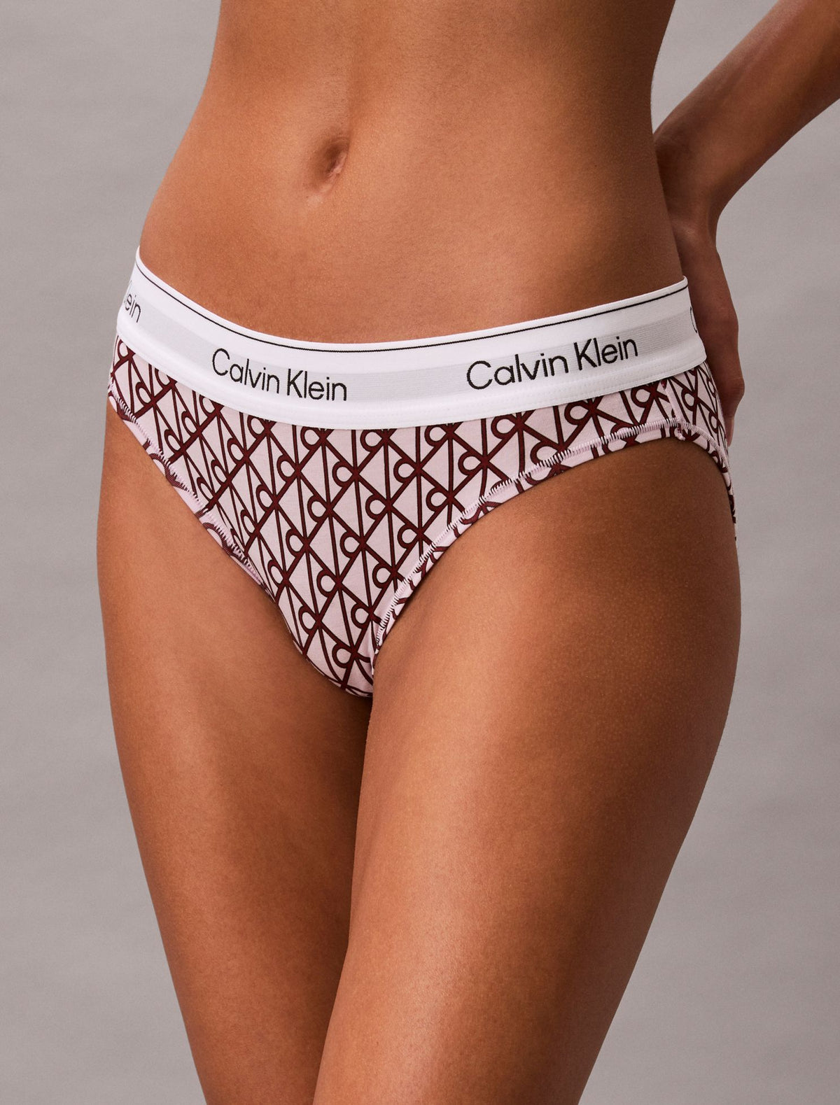 Icon Cotton Modal Bikini - Calvin Klein Underwear