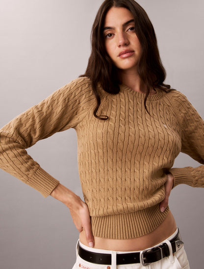 Cable Knit Crewneck Sweater - Calvin Klein Women