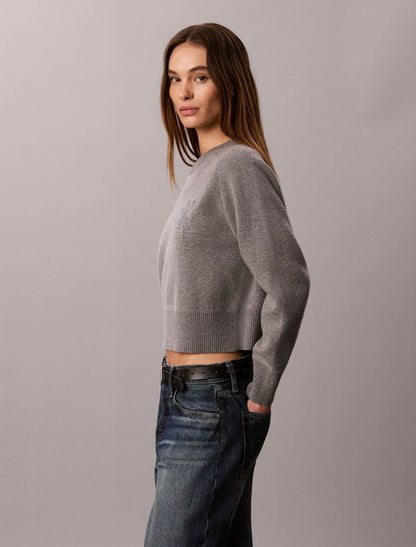 Cotton Wool Raglan Sweater - Calvin Klein Women